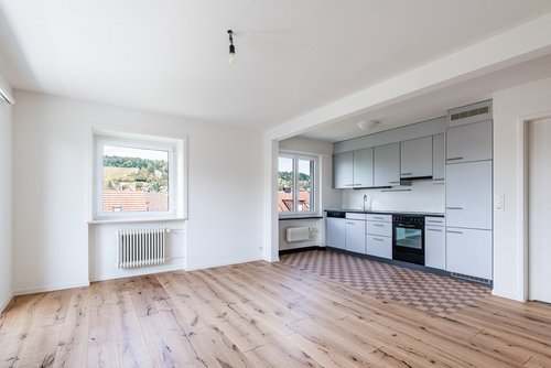 2.0 Zimmerwohnung in Winterthur