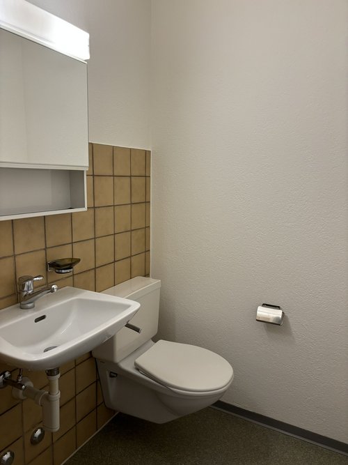 4.5 Zimmerwohnung in Fahrweid